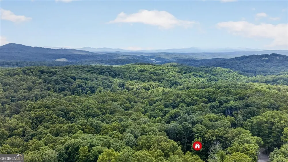 648 Stuart Mountain RD Mineral Bluff, GA 30559