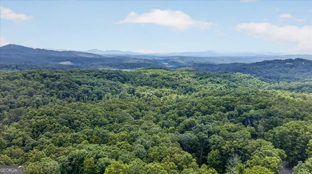 648 Stuart Mountain RD Mineral Bluff, GA 30559