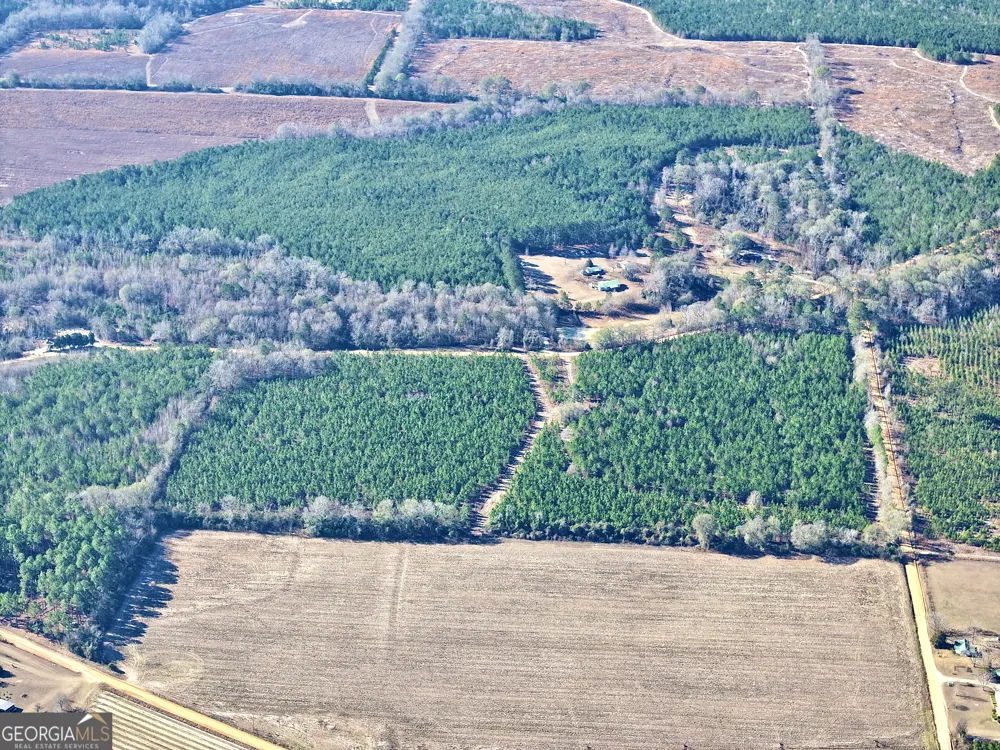 0 McDaniel DR Dexter, GA 31019