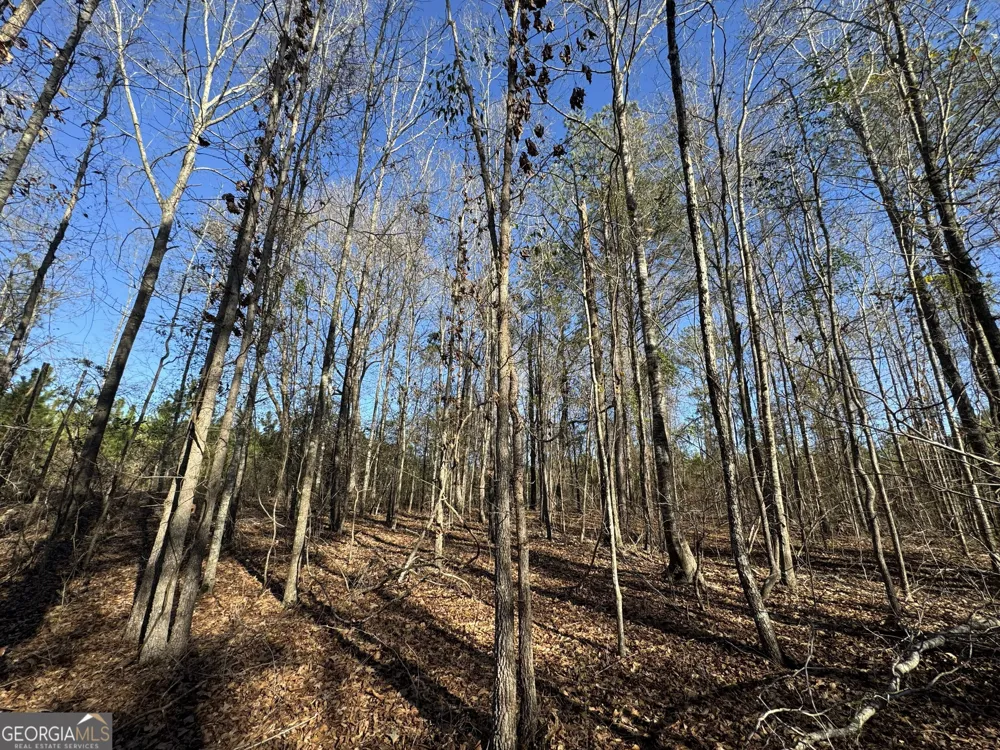 0 McDaniel DR Dexter, GA 31019