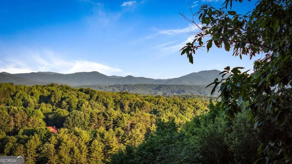 1289 My Mountain RD Morganton, GA 30560