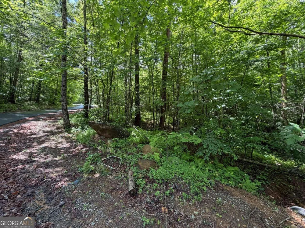 2.75AC Quail Ridge RD Epworth, GA 30541