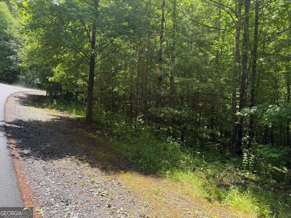 2.75AC Quail Ridge RD Epworth, GA 30541