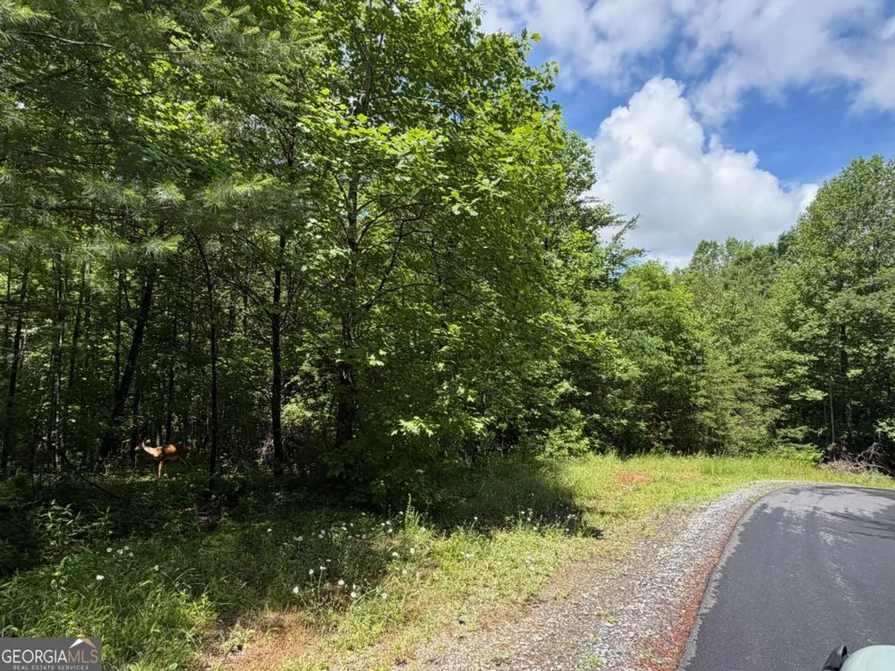 2.75AC Quail Ridge RD Epworth, GA 30541