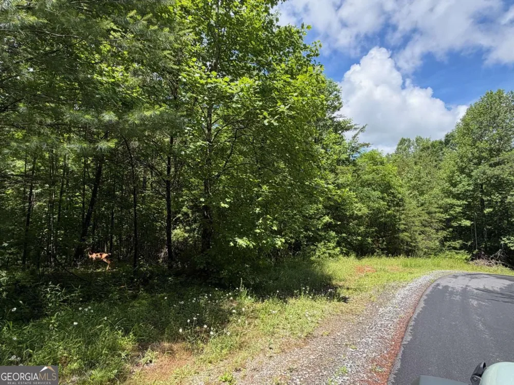 2.75AC Quail Ridge RD Epworth, GA 30541