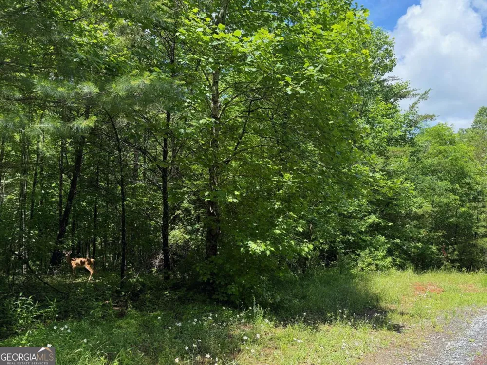 2.75AC Quail Ridge RD Epworth, GA 30541