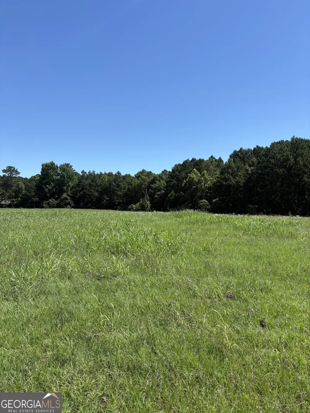 5.69 M Friedman DR Sandersville, GA 31082