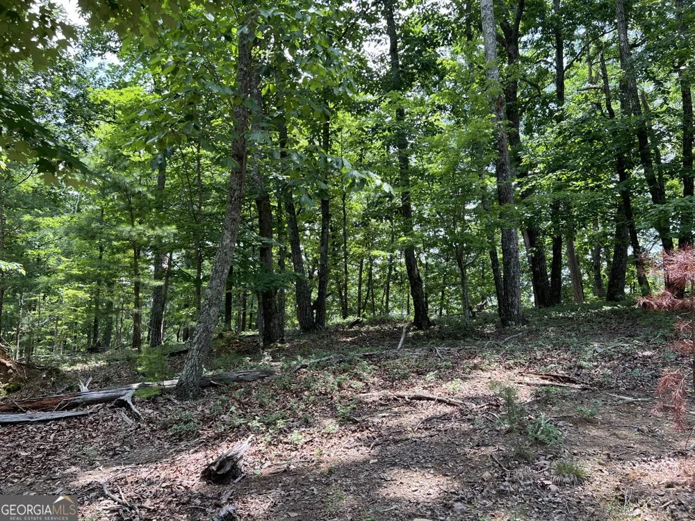 0 Planters Pointe DR Baldwin, GA 30511