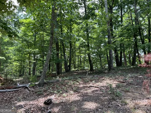 0 Planters Pointe DR