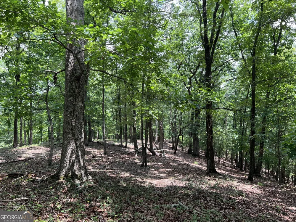 0 Planters Pointe DR Baldwin, GA 30511