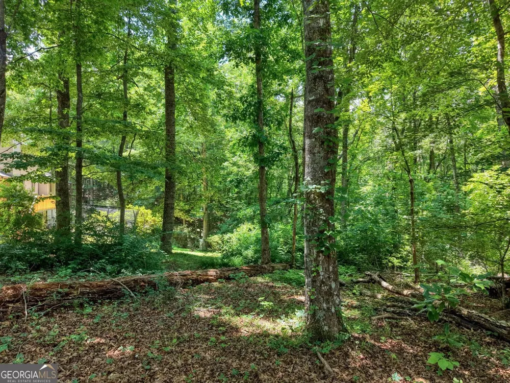 14 B Breezewood VLG Young Harris, GA 30582
