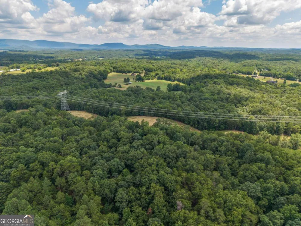0 MOUNT PLEASANT RD NE Fairmount, GA 30139