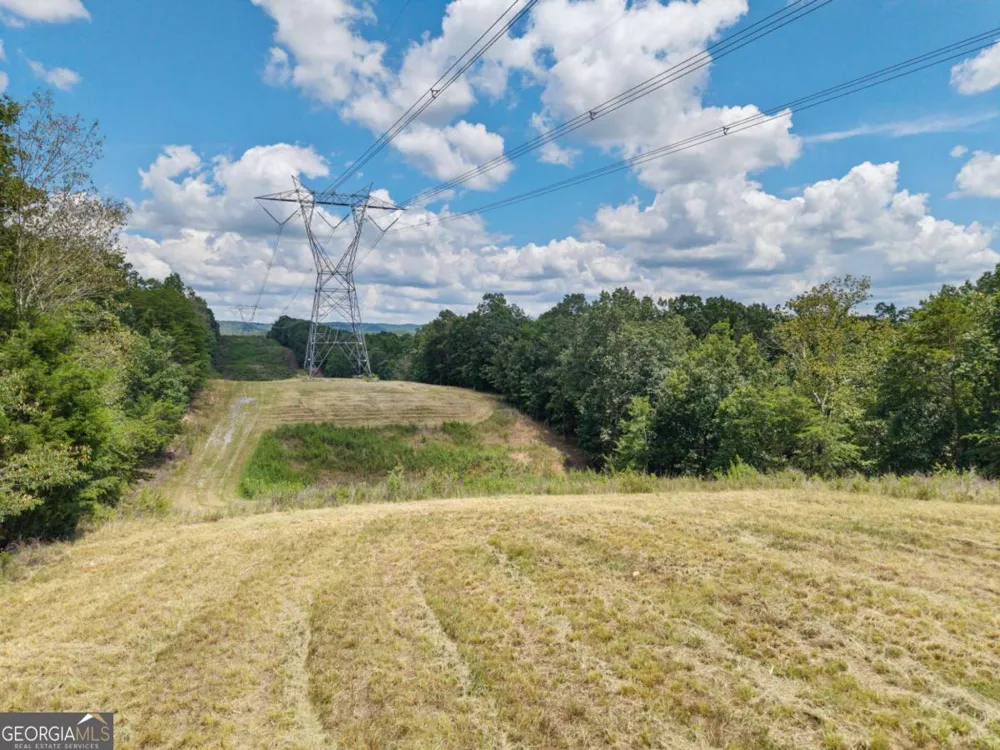 0 MOUNT PLEASANT RD NE Fairmount, GA 30139
