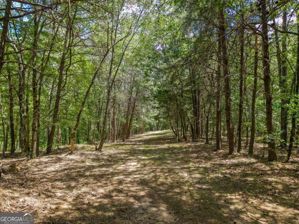 0 MOUNT PLEASANT RD NE Fairmount, GA 30139