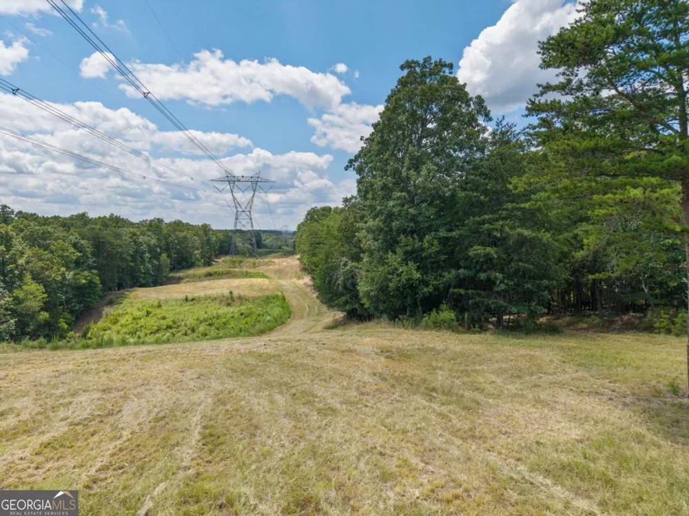 0 MOUNT PLEASANT RD NE Fairmount, GA 30139