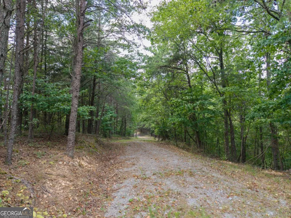 0 MOUNT PLEASANT RD NE Fairmount, GA 30139