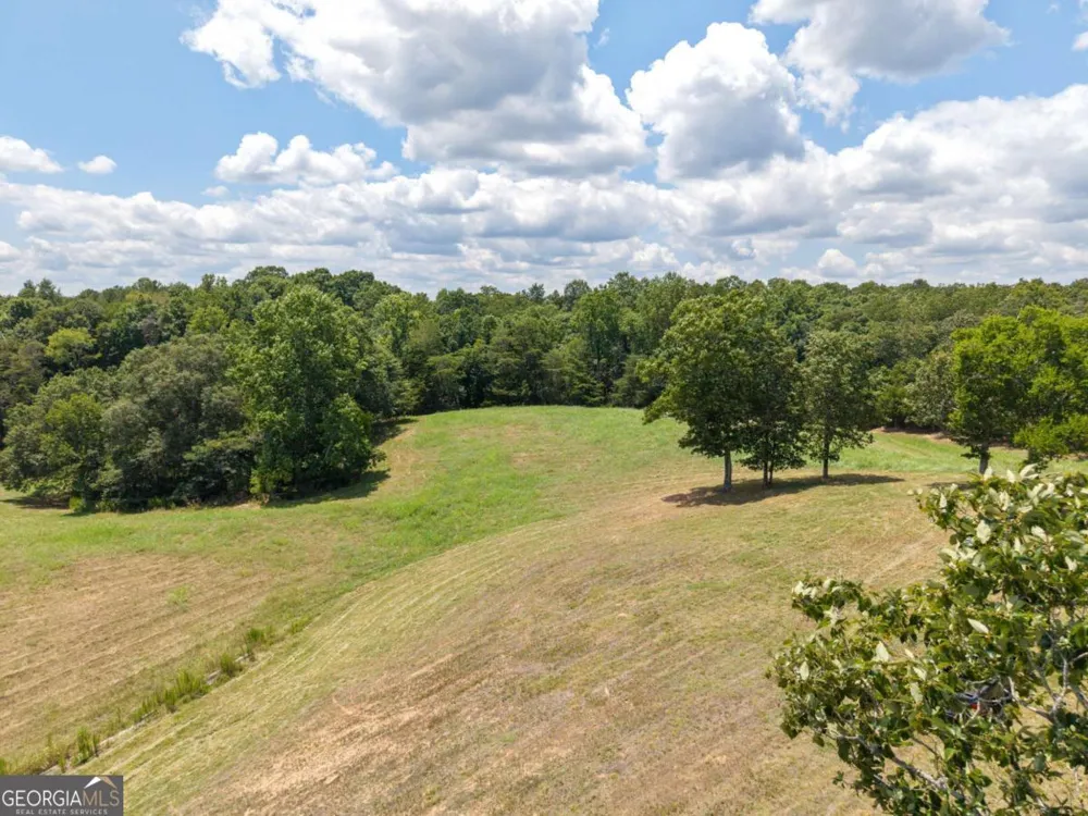 0 MOUNT PLEASANT RD NE Fairmount, GA 30139
