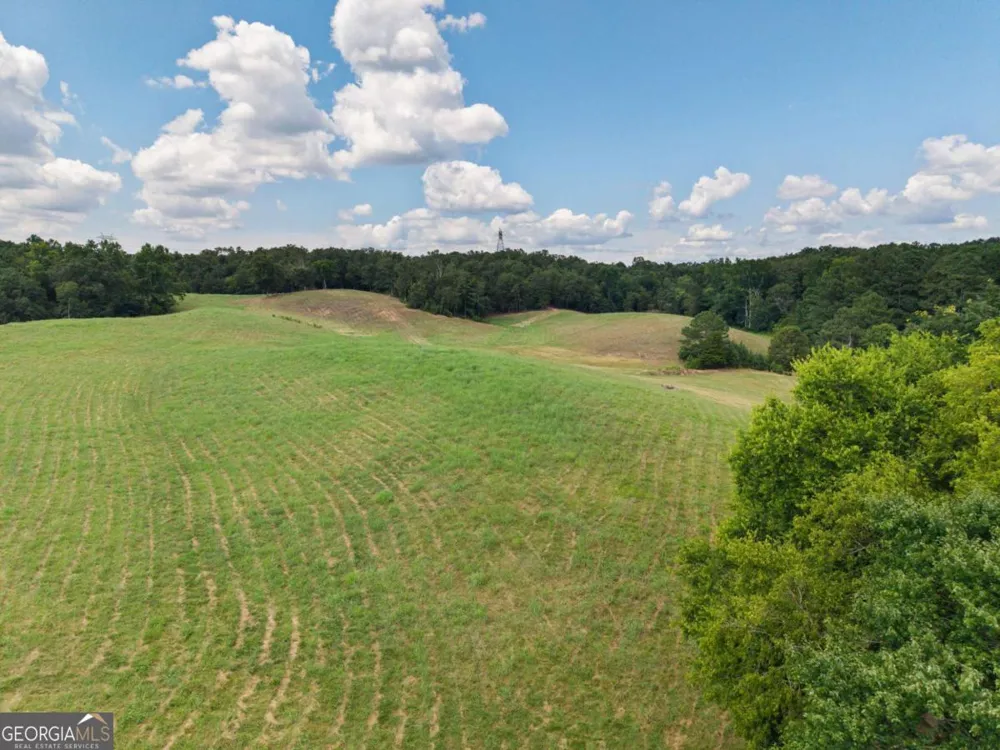 0 MOUNT PLEASANT RD NE Fairmount, GA 30139