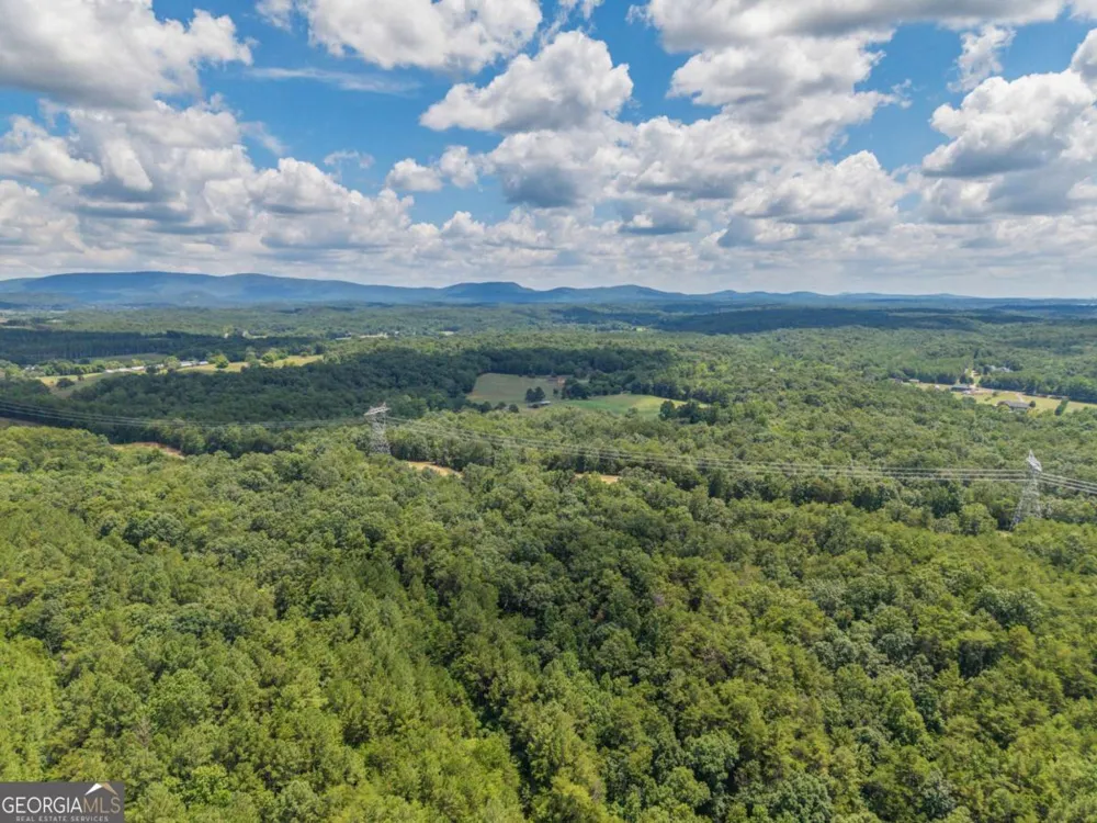0 MOUNT PLEASANT RD NE Fairmount, GA 30139