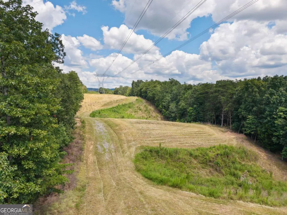 0 MOUNT PLEASANT RD NE Fairmount, GA 30139