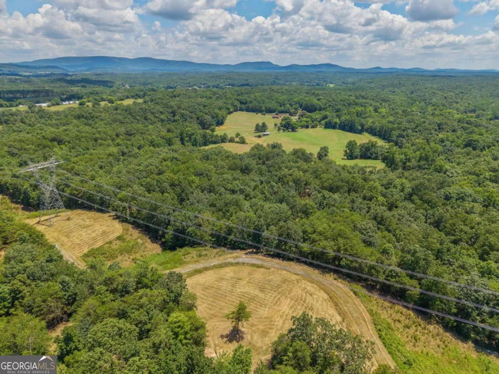 0 MOUNT PLEASANT RD NE Fairmount, GA 30139