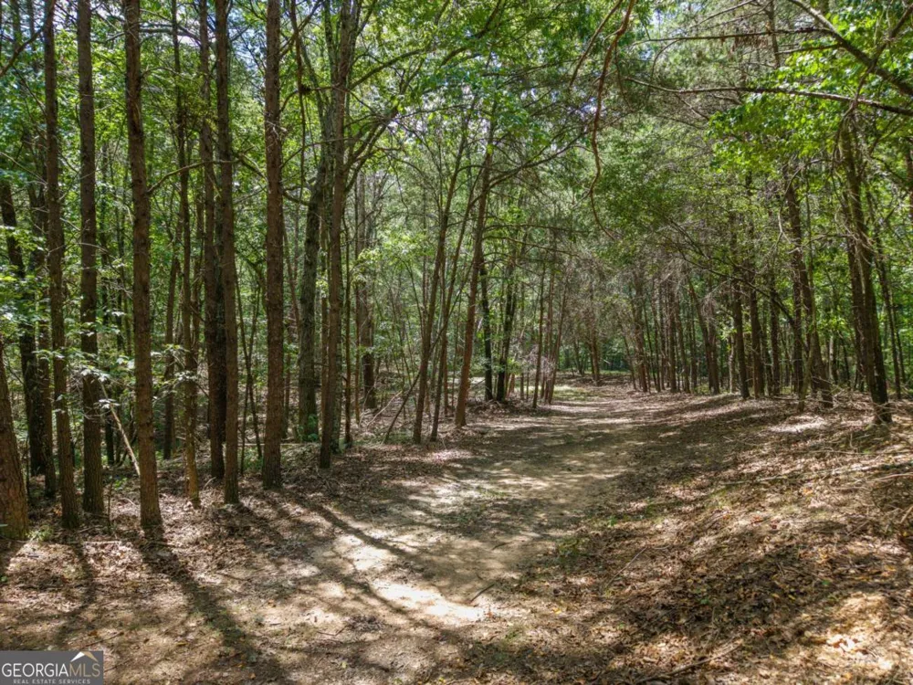 0 MOUNT PLEASANT RD NE Fairmount, GA 30139
