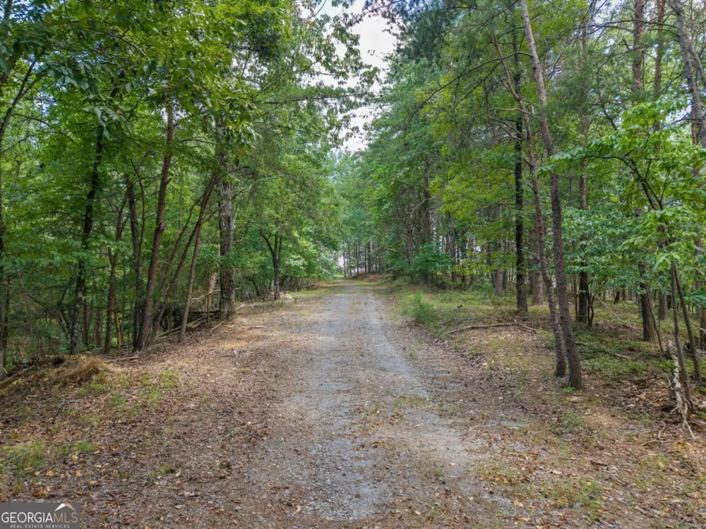 0 MOUNT PLEASANT RD NE Fairmount, GA 30139