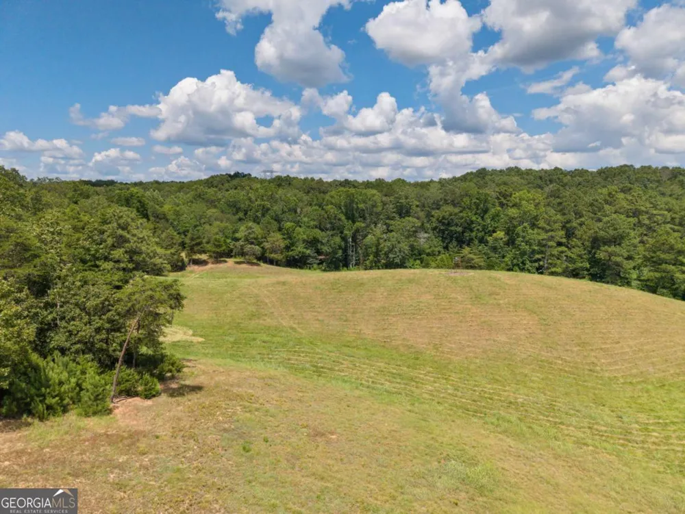 0 MOUNT PLEASANT RD NE Fairmount, GA 30139