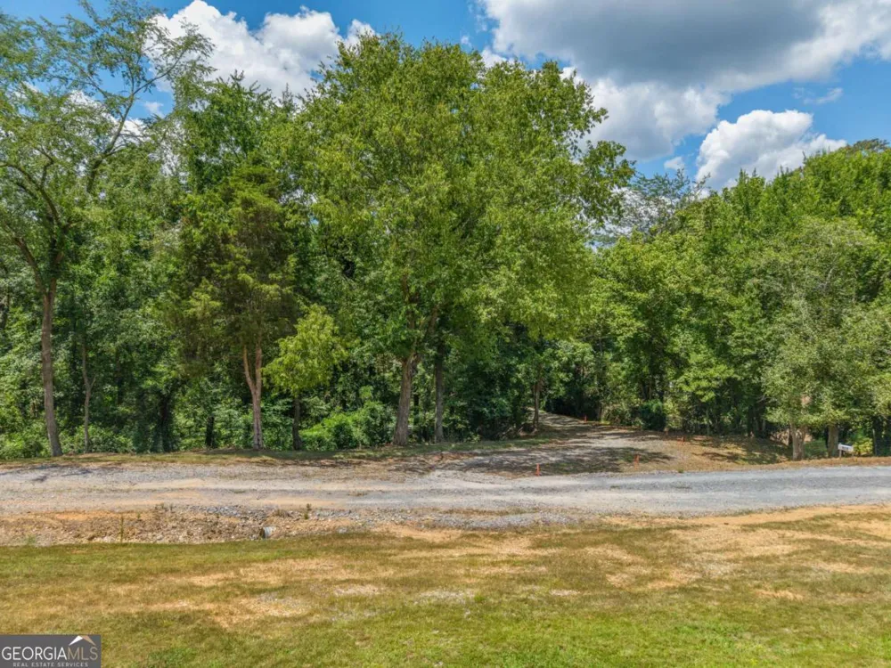 0 MOUNT PLEASANT RD NE Fairmount, GA 30139
