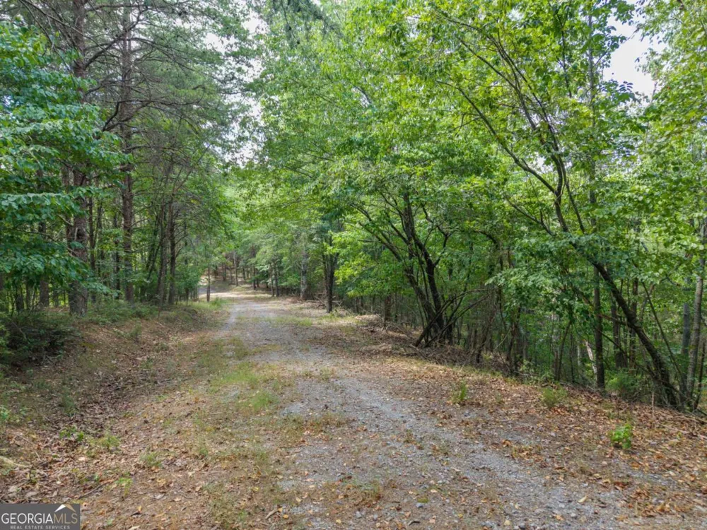 0 MOUNT PLEASANT RD NE Fairmount, GA 30139