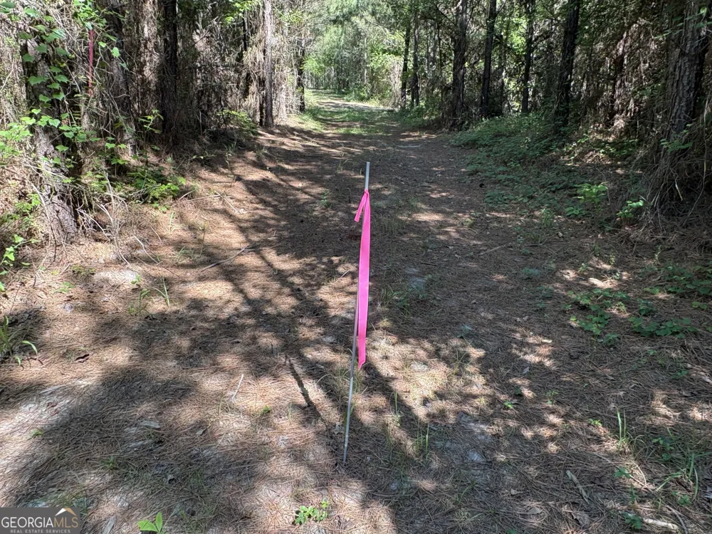 L9 N Indian Trail RD Sandersville, GA 31082