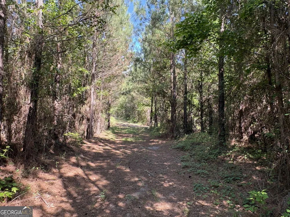 L9 N Indian Trail RD Sandersville, GA 31082
