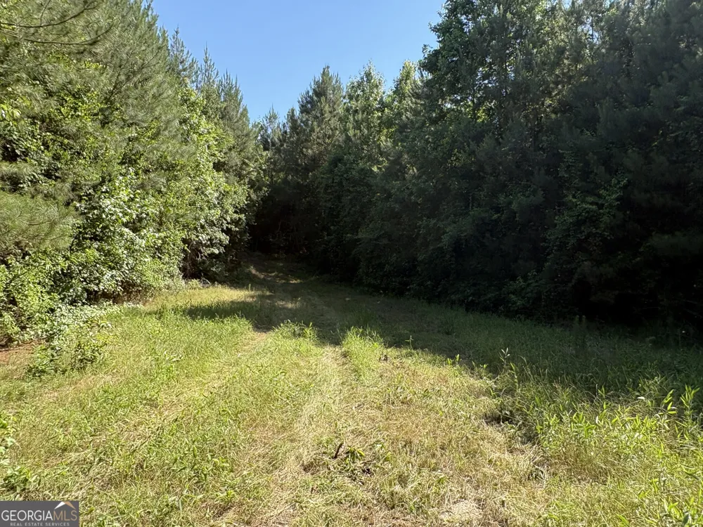 L9 N Indian Trail RD Sandersville, GA 31082
