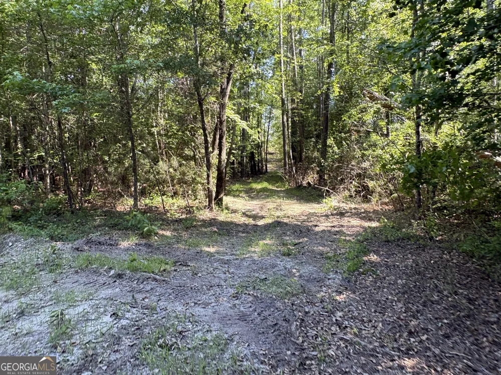 L9 N Indian Trail RD Sandersville, GA 31082