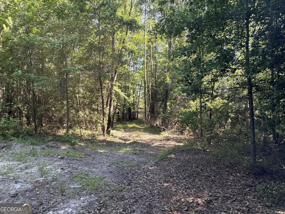 L9 N Indian Trail RD Sandersville, GA 31082