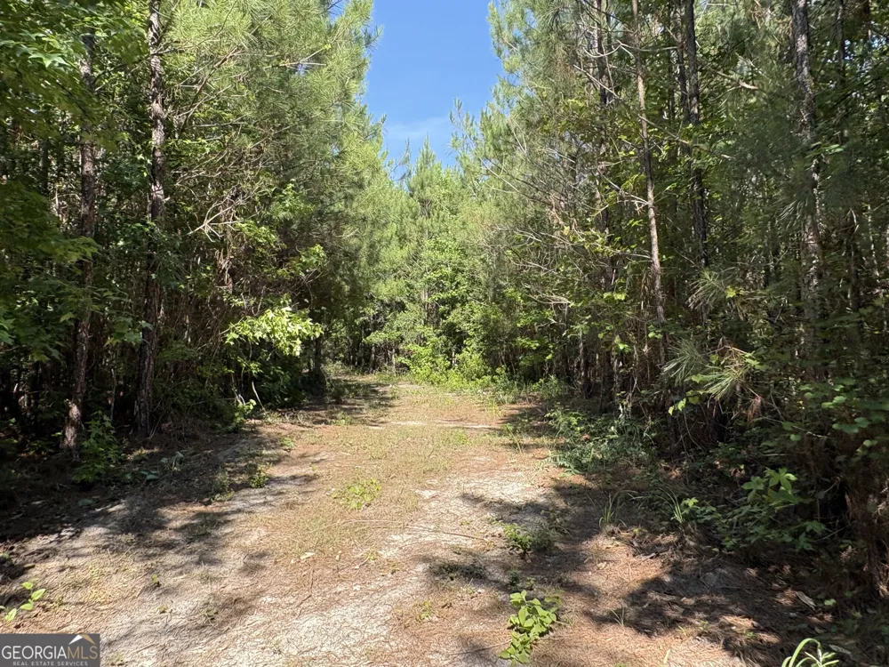 L9 N Indian Trail RD Sandersville, GA 31082