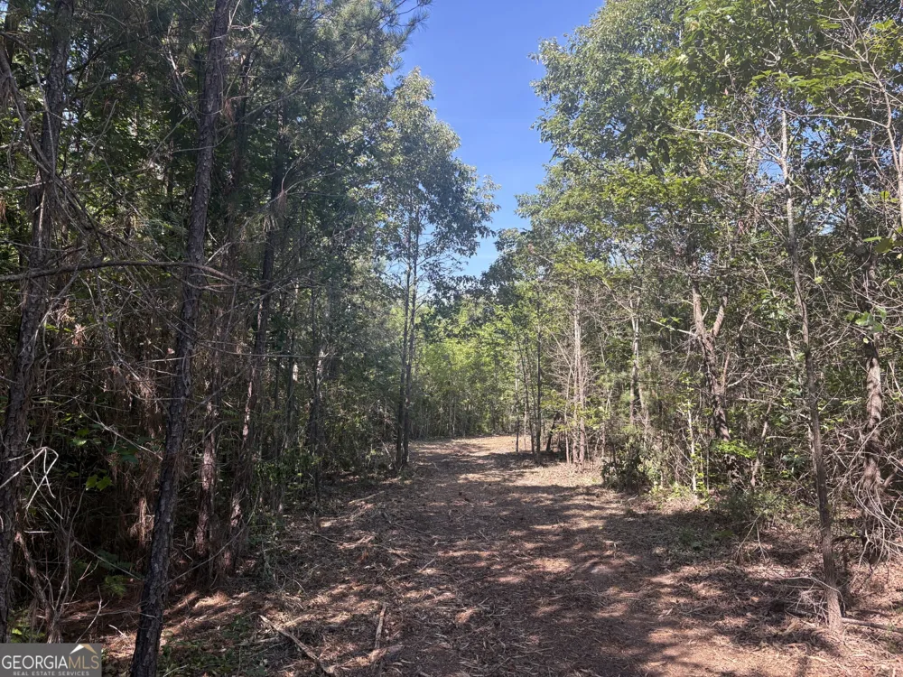 L9 N Indian Trail RD Sandersville, GA 31082