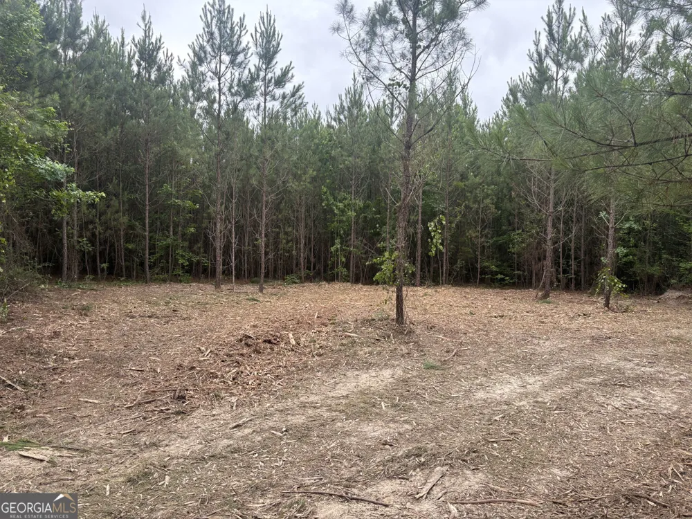 L9 N Indian Trail RD Sandersville, GA 31082