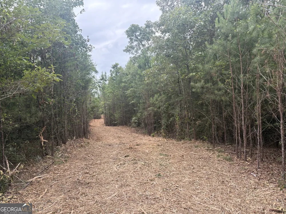 L9 N Indian Trail RD Sandersville, GA 31082
