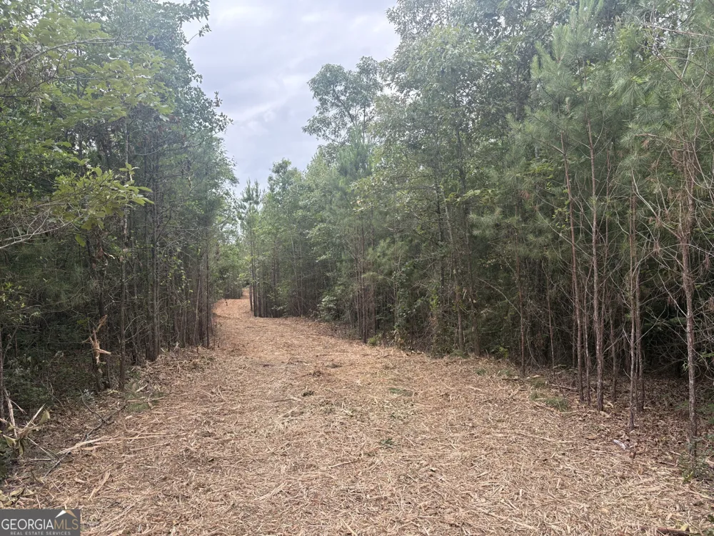 L9 N Indian Trail RD Sandersville, GA 31082