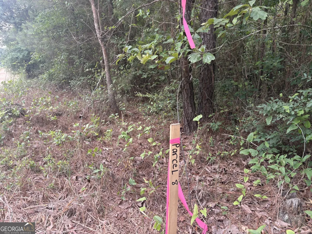 L9 N Indian Trail RD Sandersville, GA 31082