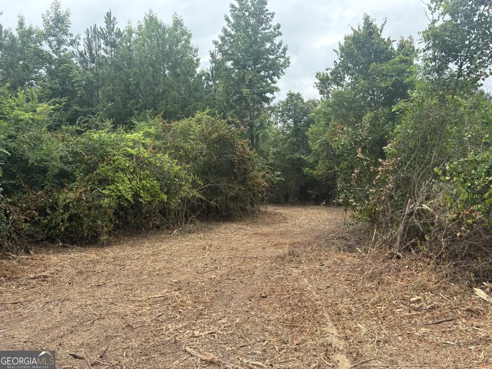 L9 N Indian Trail RD Sandersville, GA 31082