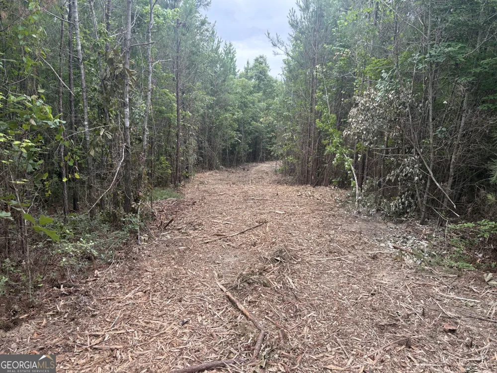 L9 N Indian Trail RD Sandersville, GA 31082
