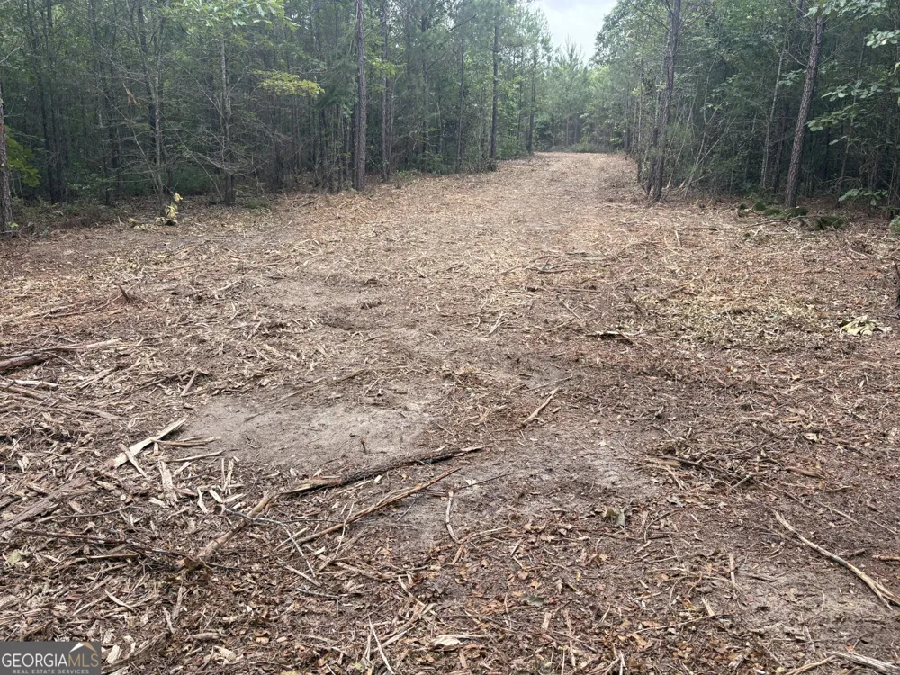 L9 N Indian Trail RD Sandersville, GA 31082