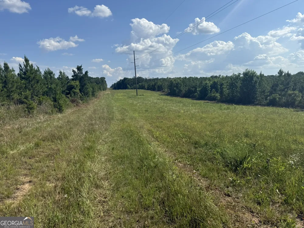 009 George Milling RD Cuthbert, GA 39840