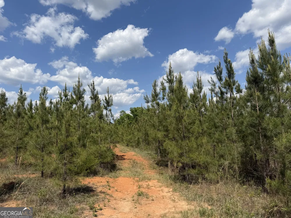 009 George Milling RD Cuthbert, GA 39840