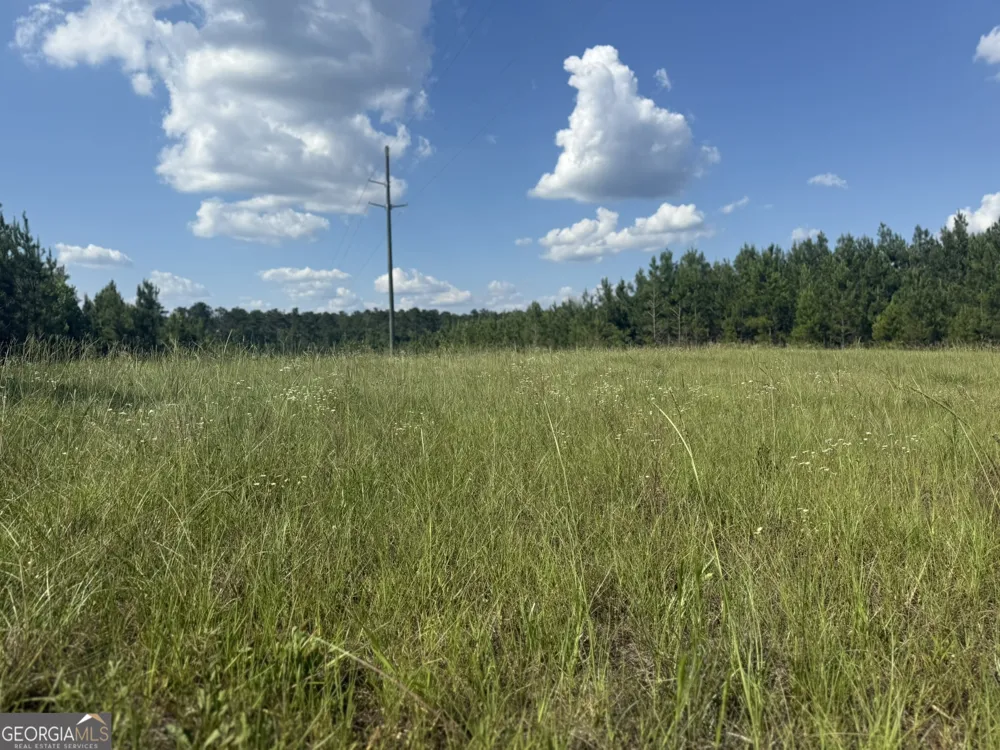 009 George Milling RD Cuthbert, GA 39840