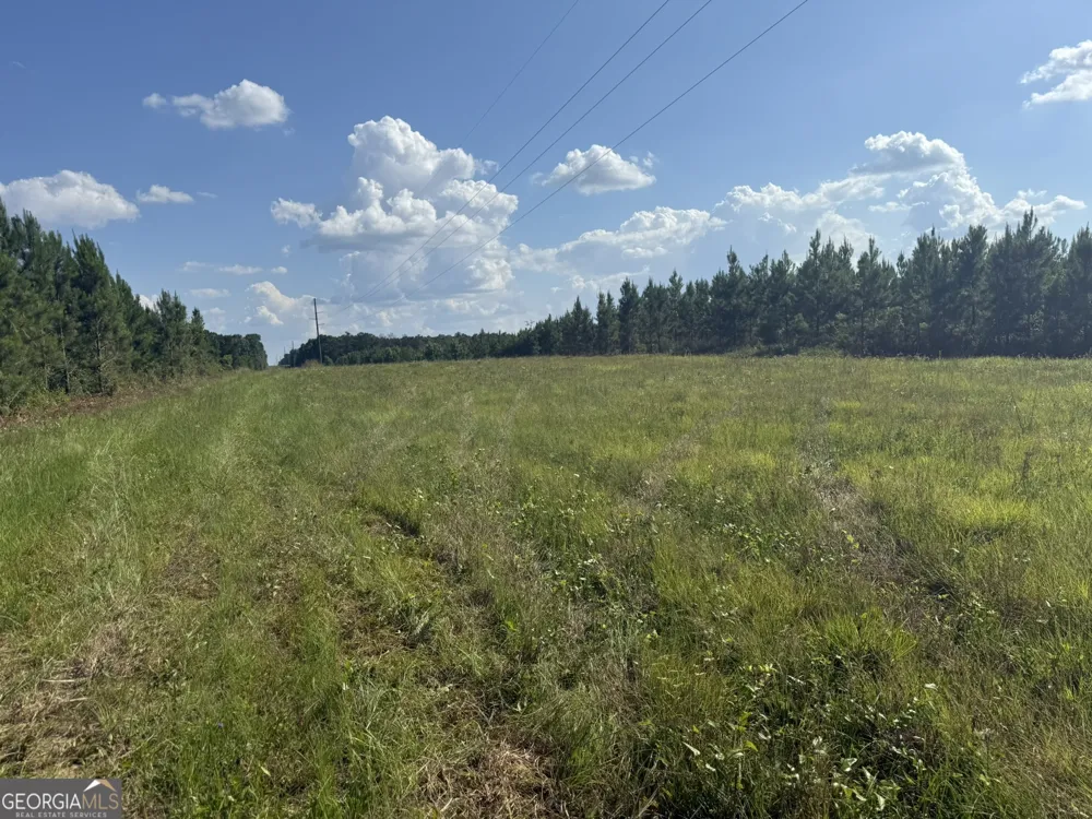 009 George Milling RD Cuthbert, GA 39840