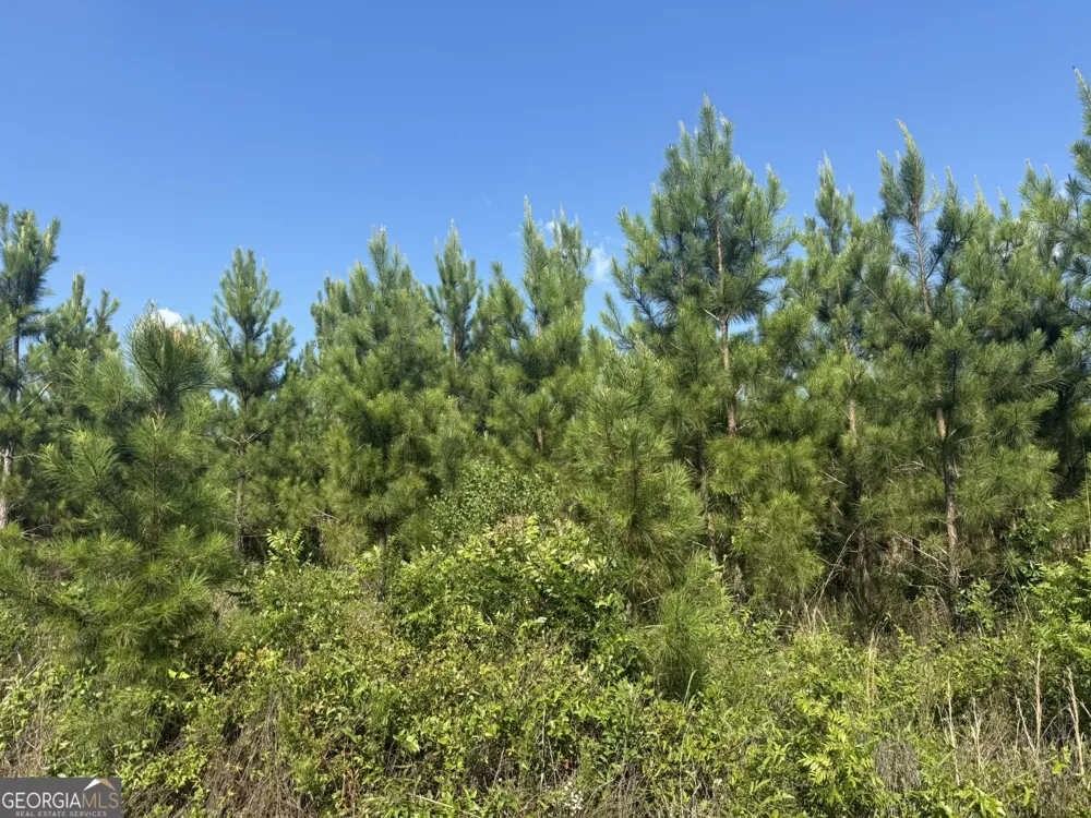 009 George Milling RD Cuthbert, GA 39840