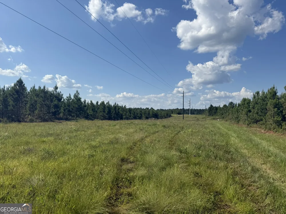 009 George Milling RD Cuthbert, GA 39840